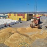 ΕΚΤΕΛΩΝΙΣΤΙΚΗ-ΕΤΑΙΡΕΙΑ-ΒΟΛΟΣ-ΠΑΛΑΣΗΣ-ΚΑΣΣΑΝΔΡΑΣ