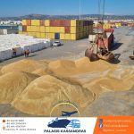 ΕΚΤΕΛΩΝΙΣΤΙΚΗ-ΕΤΑΙΡΕΙΑ-ΒΟΛΟΣ-ΠΑΛΑΣΗΣ-ΚΑΣΣΑΝΔΡΑΣ