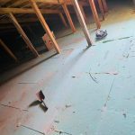 ΕΤΟΙΜΟ-ΣΚΥΡΟΔΕΜΑ-ΑΡΓΟΣ-ΟΡΕΣΤΙΚΟ-ΑΡΓΟΣ-ΜΠΕΤΟΝ-ΚΩΣΤΙΔΗΣ