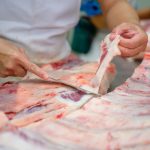 ΚΡΕΟΠΩΛΕΙΟ-ΑΓΡΙΝΙΟ-ΠΑΤΣΙΡΟΓΙΑΝΝΗΣ-ΑΝΤΩΝΙΟΣ