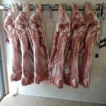 ΚΡΕΟΠΩΛΕΙΟ-ΤΥΧΕΡΟ-ΕΒΡΟΥ-ΠΑΣΧΑΛΗΣ-ΓΚΑΪΝΤΑΤΖΗΣ