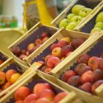 ΟΠΩΡΟΠΑΝΤΟΠΩΛΕΙΟ-ΚΥΠΑΡΙΣΣΙΑ-ΠΑΠΑΔΟΠΟΥΛΟΣ