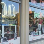 PET-SHOP-ΚΑΡΥΣΤΟΣ-PET-IN-ΧΑΛΙΑΣΗ-ΒΙΚΥ