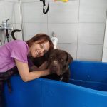 PET-SHOP-ΚΑΡΥΣΤΟΣ-PET-IN-ΧΑΛΙΑΣΗ-ΒΙΚΥ