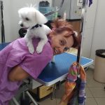 PET-SHOP-ΚΑΡΥΣΤΟΣ-PET-IN-ΧΑΛΙΑΣΗ-ΒΙΚΥ