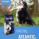 PET-SHOP-ΚΑΡΥΣΤΟΣ-PET-IN-ΧΑΛΙΑΣΗ-ΒΙΚΥ