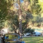 ΤΑΞΙ-ΝΕΑ-ΜΟΥΔΑΝΙΑ-ΧΑΛΚΙΔΙΚΗΣ-ΜΠΙΤΣΑΧΤΣΙΔΗΣ-ΙΣΑΑΚ