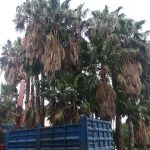 ΧΩΜΑΤΟΥΡΓΙΚΑ-ΛΙΝΟΠΟΤΗΣ-ΚΩΣ-ΣΤΑΥΡΟΣ-ΜΗΝΑΣ