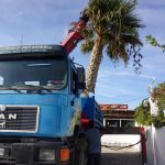 ΧΩΜΑΤΟΥΡΓΙΚΑ-ΛΙΝΟΠΟΤΗΣ-ΚΩΣ-ΣΤΑΥΡΟΣ-ΜΗΝΑΣ