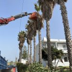 ΧΩΜΑΤΟΥΡΓΙΚΑ-ΛΙΝΟΠΟΤΗΣ-ΚΩΣ-ΣΤΑΥΡΟΣ-ΜΗΝΑΣ