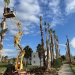 ΧΩΜΑΤΟΥΡΓΙΚΑ-ΛΙΝΟΠΟΤΗΣ-ΚΩΣ-ΣΤΑΥΡΟΣ-ΜΗΝΑΣ