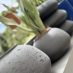 ΦΥΤΩΡΙΟ-ΠΛΑΤΑΝΙΑΣ-ΧΑΝΙΩΝ-ΦΥΤΩΡΙΑ-ΚΟΥΚΟΥΤΣΑΚΗΣ