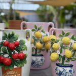 ΦΥΤΩΡΙΟ-ΠΛΑΤΑΝΙΑΣ-ΧΑΝΙΩΝ-ΦΥΤΩΡΙΑ-ΚΟΥΚΟΥΤΣΑΚΗΣ