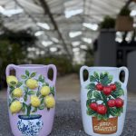 ΦΥΤΩΡΙΟ-ΠΛΑΤΑΝΙΑΣ-ΧΑΝΙΩΝ-ΦΥΤΩΡΙΑ-ΚΟΥΚΟΥΤΣΑΚΗΣ