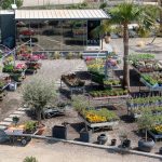 ΦΥΤΩΡΙΟ-ΠΛΑΤΑΝΙΑΣ-ΧΑΝΙΩΝ-ΦΥΤΩΡΙΑ-ΚΟΥΚΟΥΤΣΑΚΗΣ