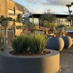 ΦΥΤΩΡΙΟ-ΠΛΑΤΑΝΙΑΣ-ΧΑΝΙΩΝ-ΦΥΤΩΡΙΑ-ΚΟΥΚΟΥΤΣΑΚΗΣ