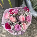 ΦΥΤΩΡΙΟ-ΠΛΑΤΑΝΙΑΣ-ΧΑΝΙΩΝ-ΦΥΤΩΡΙΑ-ΚΟΥΚΟΥΤΣΑΚΗΣ