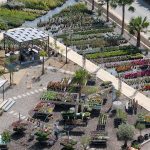 ΦΥΤΩΡΙΟ-ΠΛΑΤΑΝΙΑΣ-ΧΑΝΙΩΝ-ΦΥΤΩΡΙΑ-ΚΟΥΚΟΥΤΣΑΚΗΣ