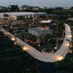 ΦΥΤΩΡΙΟ-ΠΛΑΤΑΝΙΑΣ-ΧΑΝΙΩΝ-ΦΥΤΩΡΙΑ-ΚΟΥΚΟΥΤΣΑΚΗΣ