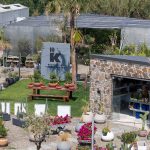 ΦΥΤΩΡΙΟ-ΠΛΑΤΑΝΙΑΣ-ΧΑΝΙΩΝ-ΦΥΤΩΡΙΑ-ΚΟΥΚΟΥΤΣΑΚΗΣ