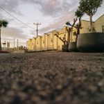 ΦΥΤΩΡΙΟ-ΠΛΑΤΑΝΙΑΣ-ΧΑΝΙΩΝ-ΦΥΤΩΡΙΑ-ΚΟΥΚΟΥΤΣΑΚΗΣ