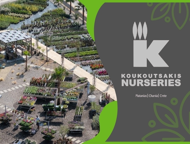 ΦΥΤΩΡΙΟ ΠΛΑΤΑΝΙΑΣ ΧΑΝΙΩΝ “ΦΥΤΩΡΙΑ ΚΟΥΚΟΥΤΣΑΚΗΣ” ΚΟΥΚΟΥΤΣΑΚΗΣ ΜΙΧΑΗΛ