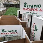 ΦΥΤΩΡΙΟ-ΤΥΜΠΑΚΙ-ΗΡΑΚΛΕΙΟΥ-ΦΥΤΩΡΙΟ-ΜΑΖΑΡΟΣ