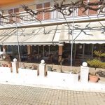 ΨΗΣΤΑΡΙΑ-ΠΛΑΤΑΝΟΣ-ΑΡΧΑΙΑ-ΟΛΥΜΠΙΑ-ΑΝΑΣΤΑΣΟΠΟΥΛΟΣ