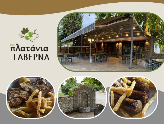 ΤΑΒΕΡΝΑ ΝΑΡΘΑΚΙ ΦΑΡΣΑΛΩΝ “ΤΑ ΠΛΑΤΑΝΙΑ” ΠΑΝΟΥΡΓΙΑΣ ΠΑΝΑΓΙΩΤΗΣ
