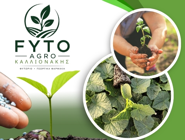ΦΥΤΩΡΙΟ ΤΥΜΠΑΚΙ ΗΡΑΚΛΕΙΟΥ FYTO AGRO ΚΑΛΛΙΟΝΑΚΗΣ ΕΕ
