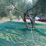 ΕΛΑΙΟΥΡΓΙΚΑ-ΜΗΧΑΝΗΜΑΤΑ-ΠΗΝEΙΑΔΑ-ΤΡΙΚΑΛΩΝ-SPACESONIC