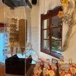 ΕΡΓΑΣΤΗΡΙΟ-ΖΑΧΑΡΟΠΛΑΣΤΙΚΗΣ-ΚΥΘΝΟΣ-ΤΟ-ΠΑΝΩΧΩΡΙ