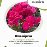 ΦΥΤΩΡΙΟ-ΗΡΑΚΛΕΙΟ-ΚΡΗΤΗΣ-ΦΥΤΩΡΙΑ-ΠΑΓΚΑΛΟΣ