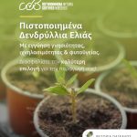 ΦΥΤΩΡΙΟ-ΗΡΑΚΛΕΙΟ-ΚΡΗΤΗΣ-ΦΥΤΩΡΙΑ-ΠΑΓΚΑΛΟΣ