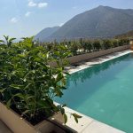 ΦΥΤΩΡΙΟ-ΗΡΑΚΛΕΙΟ-ΚΡΗΤΗΣ-ΦΥΤΩΡΙΑ-ΠΑΓΚΑΛΟΣ
