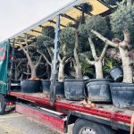 ΦΥΤΩΡΙΟ-ΝΕΑ-ΗΡΑΚΛΕΙΤΣΑ-ΚΑΒΑΛΑΣ-ΦΥΤΩΡΙΑ-ΚΥΡΚΟΥ