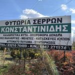 ΦΥΤΩΡΙΟ-ΣΕΡΡΕΣ-ΚΩΝΣΤΑΝΤΙΝΙΔΗΣ-ΠΑΝΤΕΛΗΣ