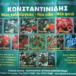 ΦΥΤΩΡΙΟ-ΣΕΡΡΕΣ-ΚΩΝΣΤΑΝΤΙΝΙΔΗΣ-ΠΑΝΤΕΛΗΣ