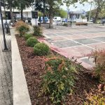 ΦΥΤΩΡΙΟ-ΣΕΡΡΕΣ-ΚΩΝΣΤΑΝΤΙΝΙΔΗΣ-ΠΑΝΤΕΛΗΣ