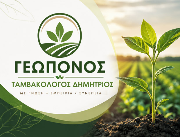 ΓΕΩΠΟΝΟΣ ΣΚΑΛΑ ΛΑΚΩΝΙΑΣ ΤΑΜΒΑΚΟΛΟΓΟΣ ΔΗΜΗΤΡΙΟΣ & ΣΙΑ ΟΕ