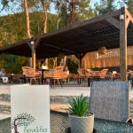 ΚΑΦΕΤΕΡΙΑ-ΠΑΛΑΙΟΧΩΡΙ-ΚΑΒΑΛΑΣ-ΔΡΥΑΔΑ-ALL-DAY-CAFE-ΛΑΦΑΤΖΗ