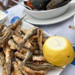 ΨΑΡΟΤΑΒΕΡΝΑ-ΑΓΙΟΙ-ΘΕΟΔΩΡΟΙ-ΚΟΡΙΝΘΙΑΣ-ΠΑΛΙΡΡΟΙΑ-ΧΑΤΖΟΥΔΗΣ