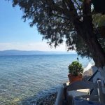 ΨΑΡΟΤΑΒΕΡΝΑ-ΑΓΙΟΙ-ΘΕΟΔΩΡΟΙ-ΚΟΡΙΝΘΙΑΣ-ΠΑΛΙΡΡΟΙΑ-ΧΑΤΖΟΥΔΗΣ