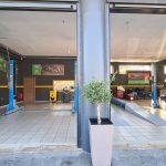 ΣΥΝΕΡΓΕΙΟ-ΑΥΤΟΚΙΝΗΤΩΝ-ΗΓΟΥΜΕΝΙΤΣΑ ΣΑΡΡΑΣ-ΤΣΑΝΗΣ