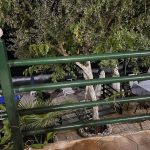 ΤΑΒΕΡΝΑ-ΑΚΡΟΓΙΑΛΙ-ΜΕΣΣΗΝΙΑΣ-ΑΚΡΟΓΙΑΛΙΑ-ΠΙΤΣΙΛΗ