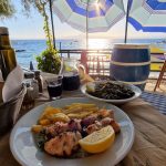 ΤΑΒΕΡΝΑ-ΑΚΡΟΓΙΑΛΙ-ΜΕΣΣΗΝΙΑΣ-ΑΚΡΟΓΙΑΛΙΑ-ΠΙΤΣΙΛΗ