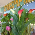 ΓΕΩΡΓΙΚΑ-ΕΦΟΔΙΑ-ΑΓΙΟΣ-ΑΘΑΝΑΣΙΟΣ-ΔΡΑΜΑΣ-ΑΦΟΙ-ΨΩΜΙΑΔΗ-ΟΕ