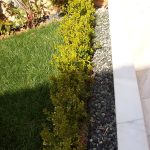 ΚΑΤΑΣΚΕΥΗ-ΚΗΠΩΝ-ΑΧΑΡΝΕΣ-ΚΗΠΟΑΡΔΕΥΤΙΚΗ-ΘΕΟΔΩΡΕΛΛΗΣ