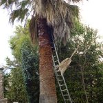 ΚΑΤΑΣΚΕΥΗ-ΚΗΠΩΝ-ΑΧΑΡΝΕΣ-ΚΗΠΟΑΡΔΕΥΤΙΚΗ-ΘΕΟΔΩΡΕΛΛΗΣ