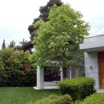 ΚΑΤΑΣΚΕΥΗ-ΚΗΠΩΝ-ΑΧΑΡΝΕΣ-ΚΗΠΟΑΡΔΕΥΤΙΚΗ-ΘΕΟΔΩΡΕΛΛΗΣ